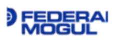Công Ty TNHH Federal - Mogul